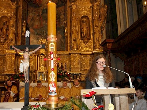 Zdjęcie 41 z 81