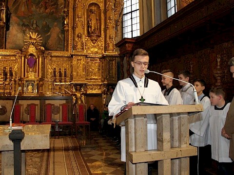 Zdjęcie 9 z 78