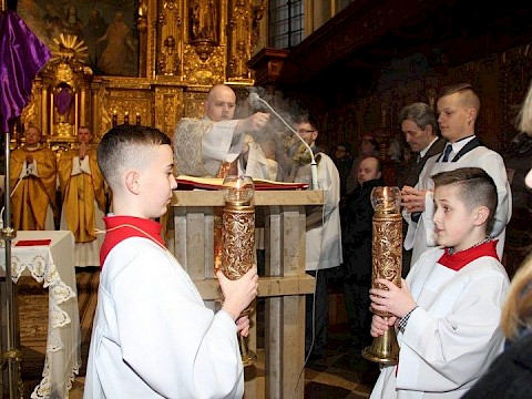 Zdjęcie 17 z 51