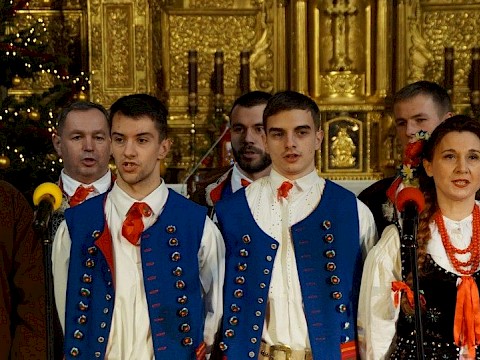 Zdjęcie 10 z 50