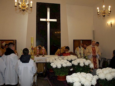 Zdjęcie 1 z 71