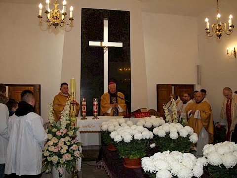 Zdjęcie 5 z 71