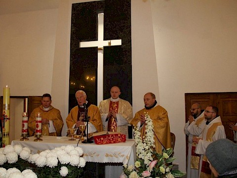 Zdjęcie 11 z 71