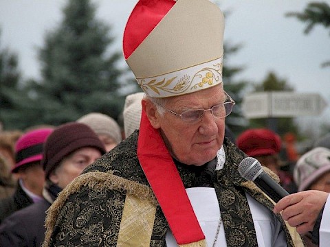 Zdjęcie 33 z 71