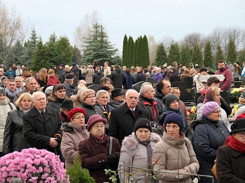 Zdjęcie 35 z 71