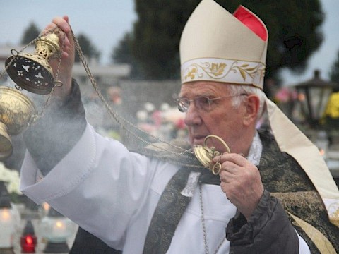 Zdjęcie 39 z 71