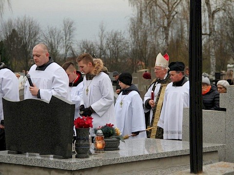 Zdjęcie 46 z 71