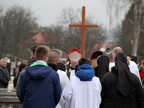 Zdjęcie 49 z 71