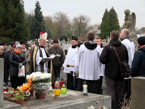 Zdjęcie 48 z 71