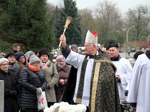 Zdjęcie 54 z 71