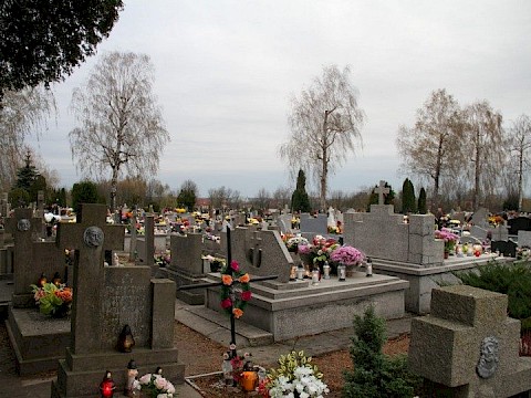 Zdjęcie 53 z 71
