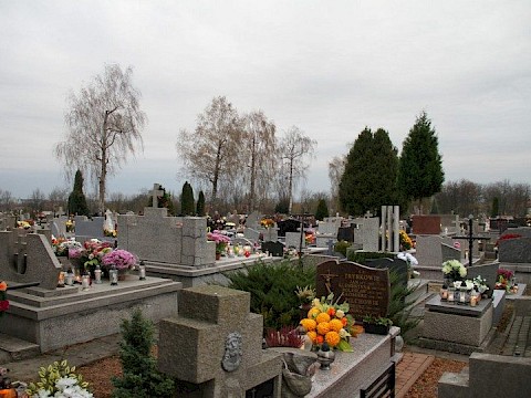 Zdjęcie 58 z 71