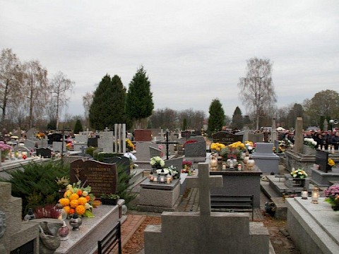 Zdjęcie 59 z 71