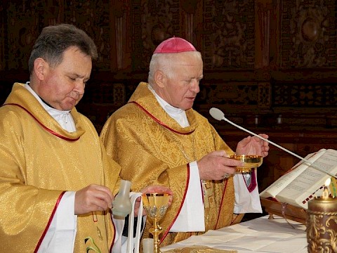 Zdjęcie 28 z 54