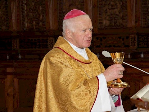Zdjęcie 29 z 54