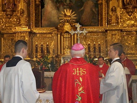 Zdjęcie 2 z 48