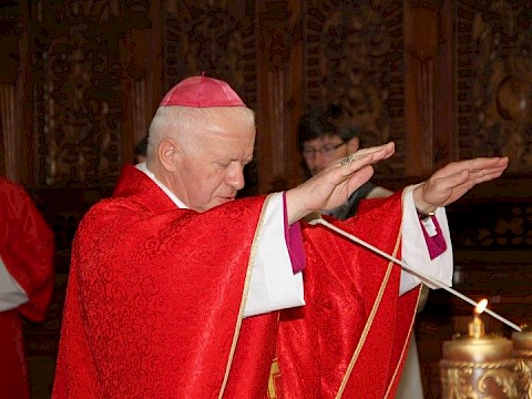 Zdjęcie 15 z 48