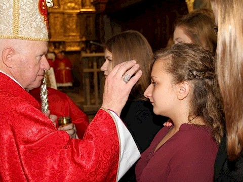 Zdjęcie 19 z 48