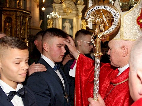 Zdjęcie 24 z 48