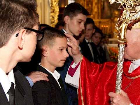 Zdjęcie 26 z 48
