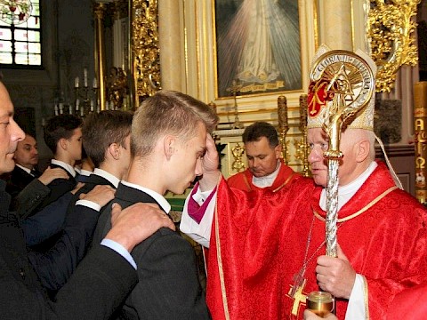 Zdjęcie 29 z 48
