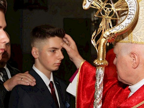 Zdjęcie 31 z 48