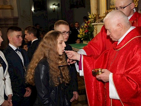 Zdjęcie 43 z 48