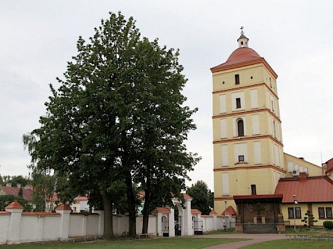 Zdjęcie 42 z 69