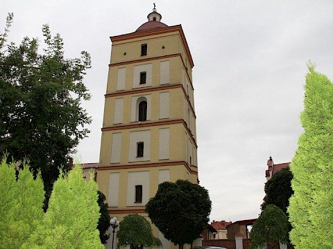 Zdjęcie 66 z 69