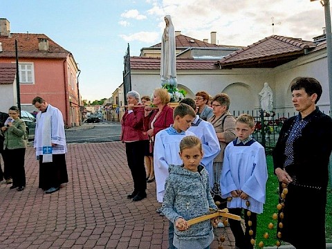 Zdjęcie 8 z 19