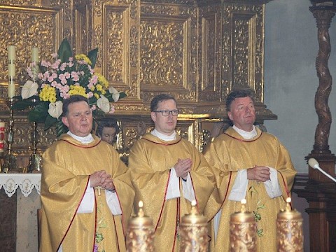 Zdjęcie 3 z 40