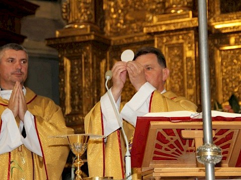 Zdjęcie 17 z 127