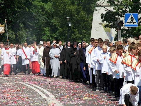 Zdjęcie 21 z 202