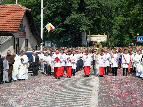 Zdjęcie 25 z 202