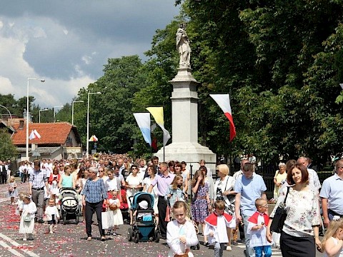 Zdjęcie 24 z 202