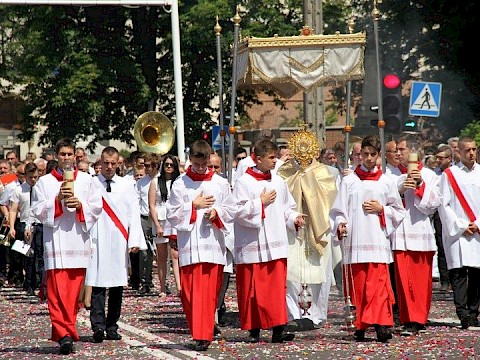 Zdjęcie 37 z 202