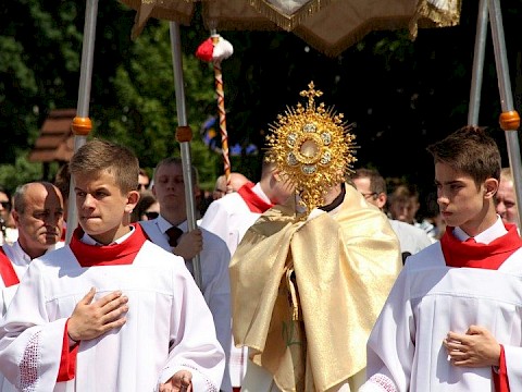 Zdjęcie 39 z 202