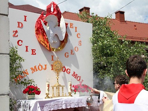 Zdjęcie 41 z 202