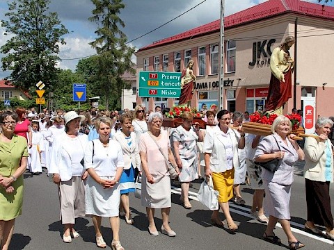 Zdjęcie 50 z 202
