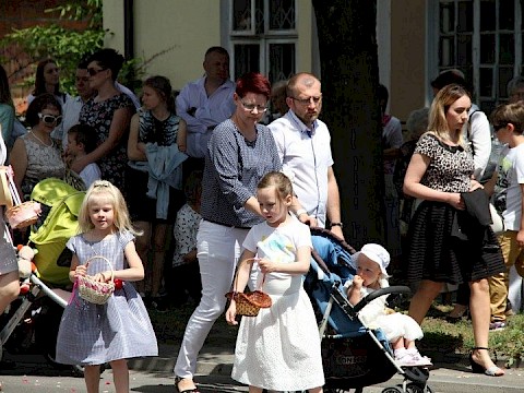 Zdjęcie 75 z 202