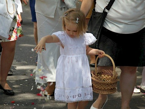 Zdjęcie 133 z 202