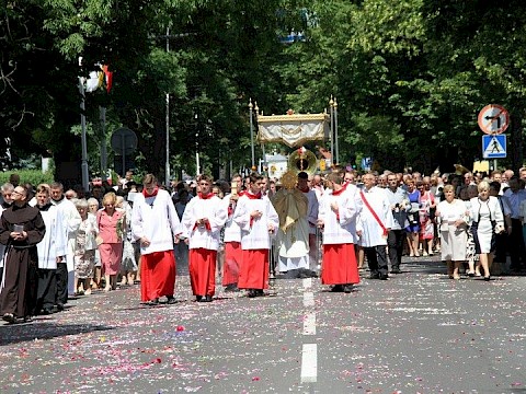 Zdjęcie 139 z 202
