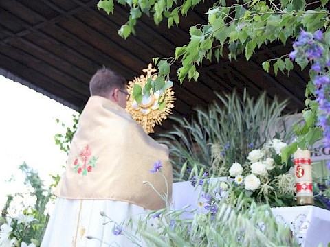 Zdjęcie 158 z 202