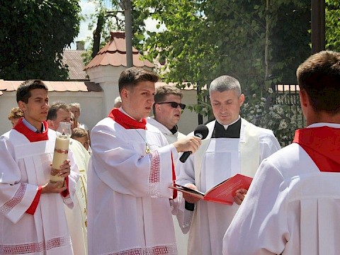 Zdjęcie 168 z 202