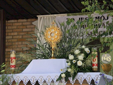 Zdjęcie 169 z 202