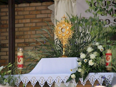 Zdjęcie 171 z 202