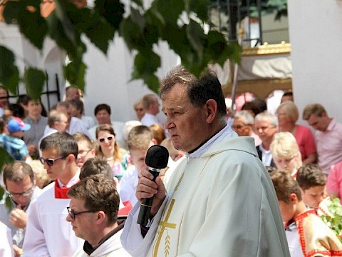 Zdjęcie 191 z 202
