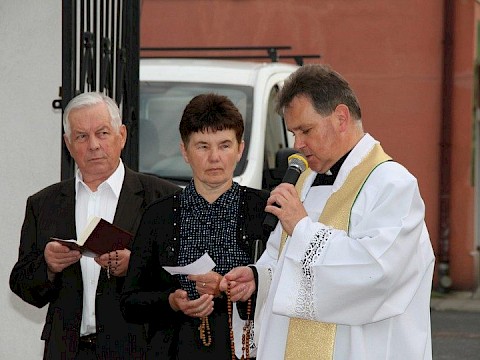 Zdjęcie 31 z 54