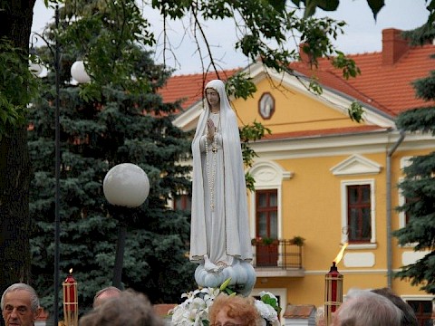 Zdjęcie 51 z 54