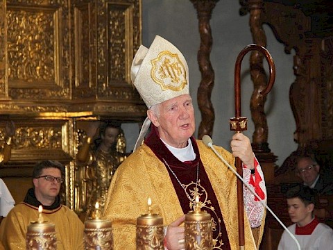 Zdjęcie 23 z 88